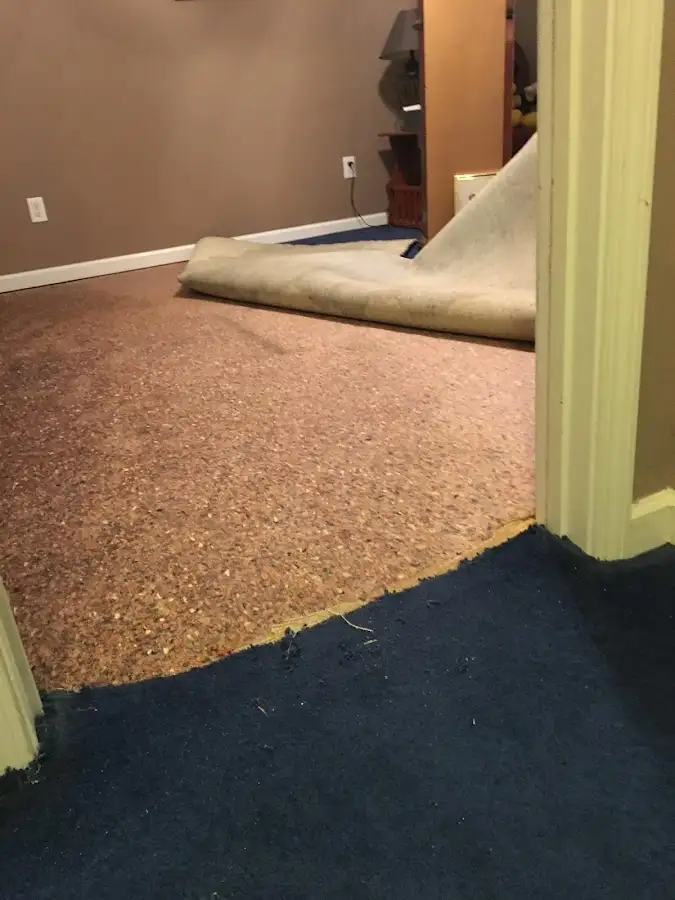 Carpet pad removal revealing water damage during Water Mitigation Services in Loudon