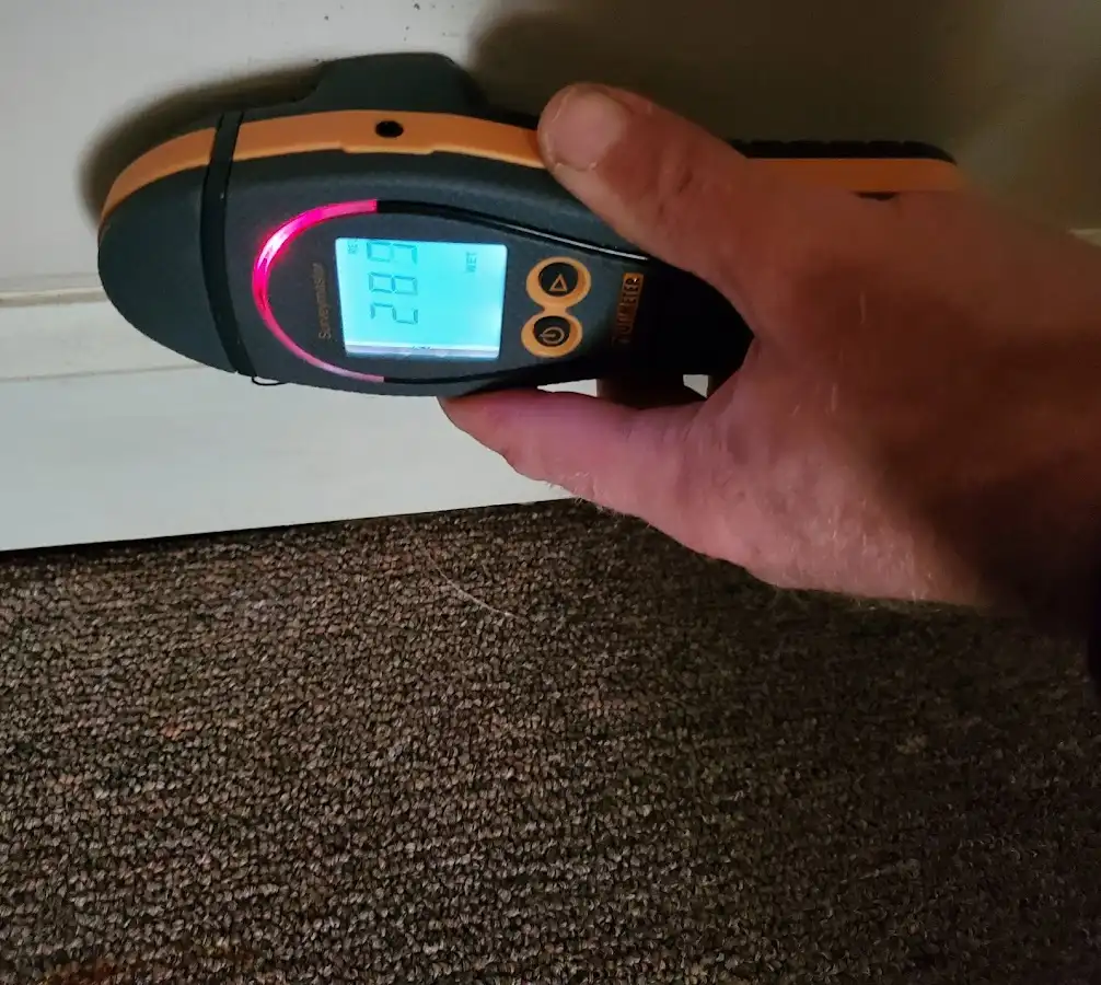 Moisture detection at baseboard during Sewage Cleanup & Sanitation in Loudon